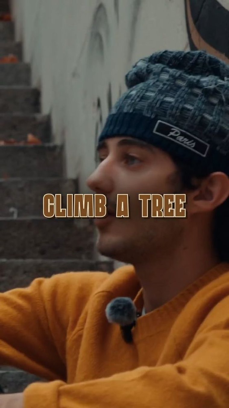 Pilot · Alon Katz - Climb a Tree